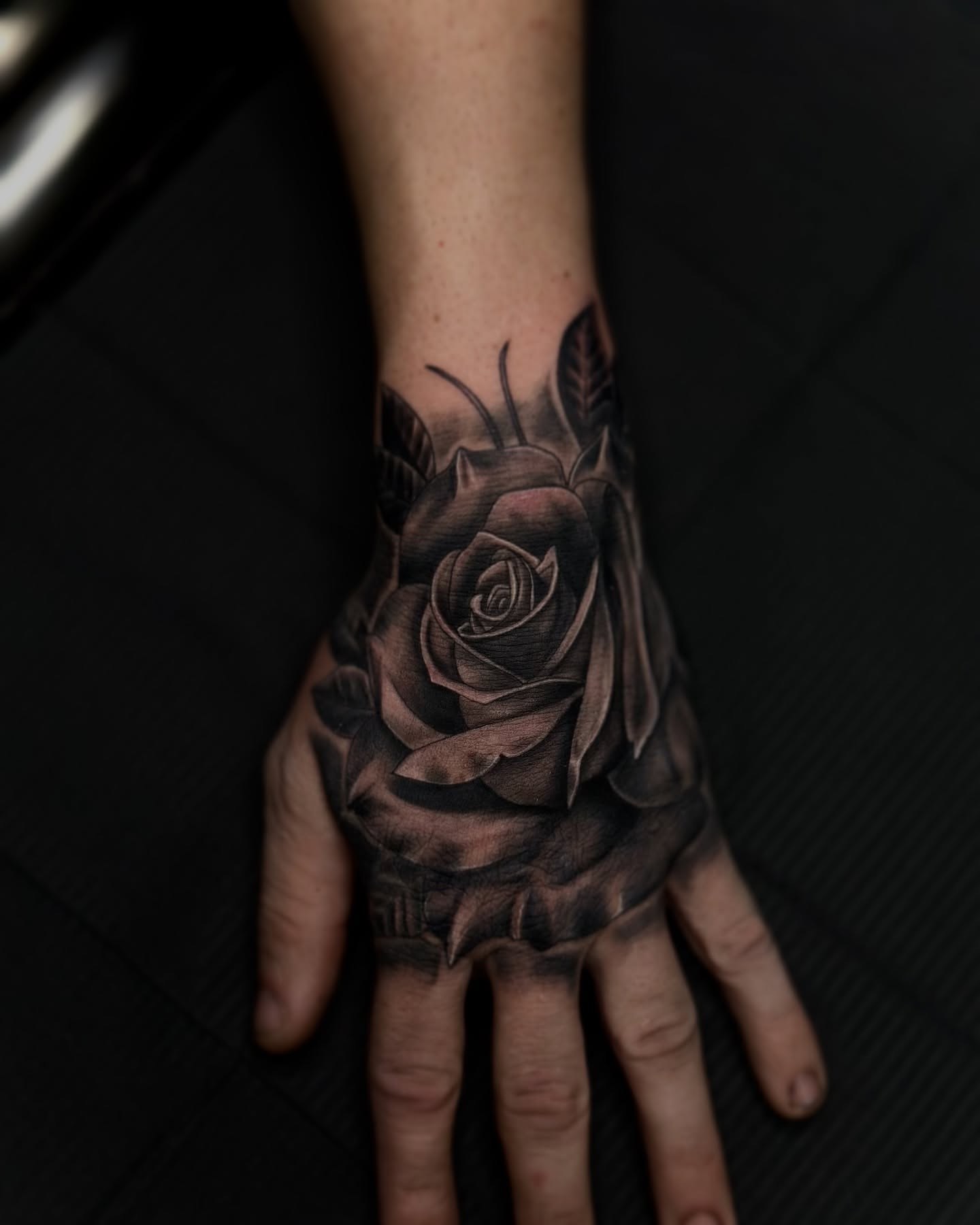 Rose on hand · Edu Sampedro